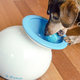 Illustration for article titled If You Have a Dog, You Can't Miss This Gadget Guide for the Spring